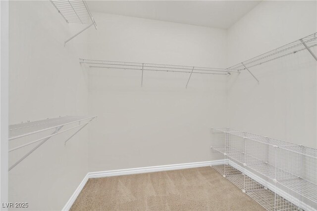 2753 Kildrummie St, Henderson, NV 89044 - photo 29
