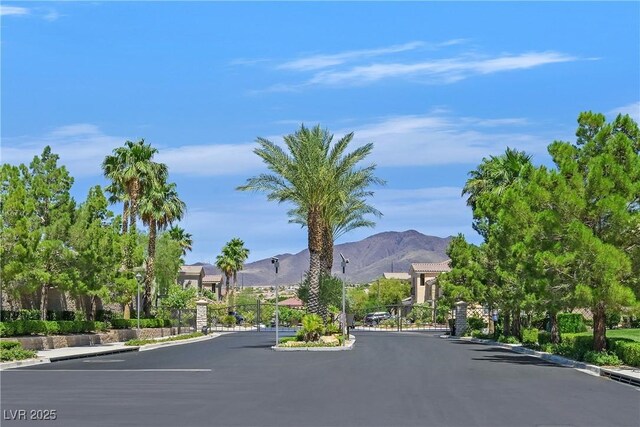 2753 Kildrummie St, Henderson, NV 89044 - photo 50