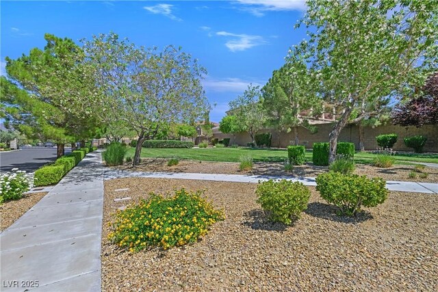 2753 Kildrummie St, Henderson, NV 89044 - photo 49