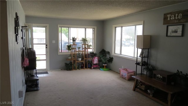 18 Connors Ct, Ely, NV 89301 - playroom with carpet and a textured ceiling