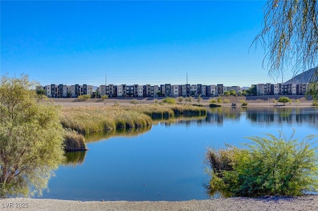 1425 Overseer Ave, Henderson, NV 89074 - water view