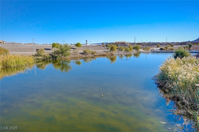1425 Overseer Ave, Henderson, NV 89074 - water view