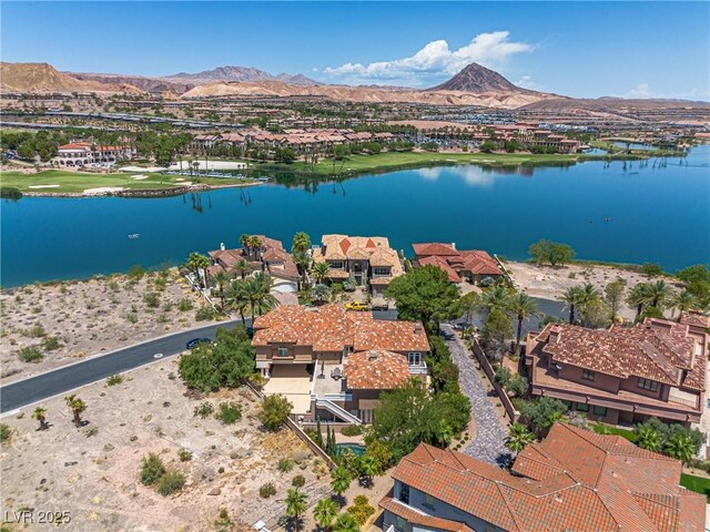 7 Rue Promenade Way, Henderson, NV 89011 - photo 90