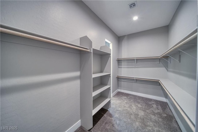 2650 Underbrush Ave, Pahrump, NV 89048 - walk in closet with carpet floors