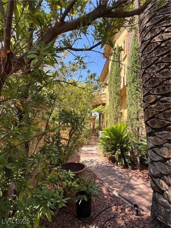1800 Amarone Way, Henderson, NV 89012 - photo 79