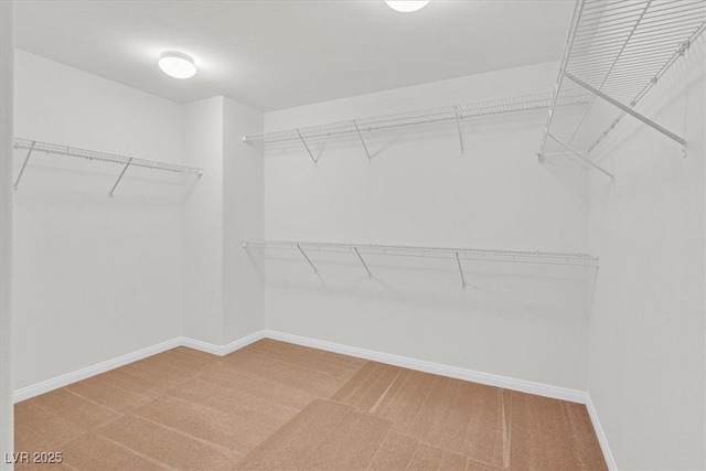 3689 Bufflehead St, Las Vegas, NV 89122 - walk in closet with carpet flooring