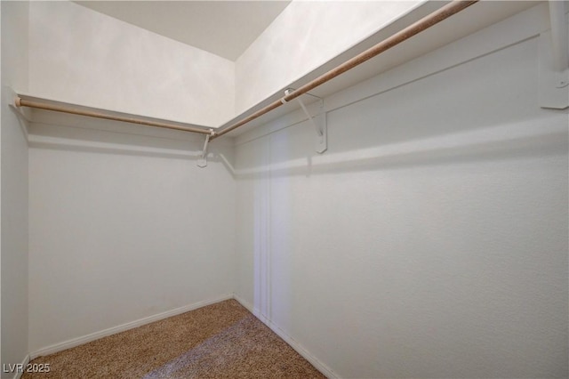 7528 Golden Yucca Dr, Las Vegas, NV 89147 - walk in closet featuring carpet floors