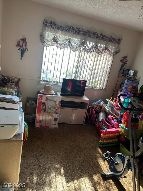 712 Donner St, Las Vegas, NV 89107 - interior space with carpet and a textured ceiling