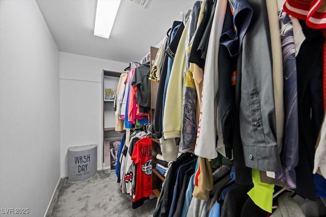 106 Basketflower Ct, Las Vegas, NV 89183 - spacious closet featuring carpet