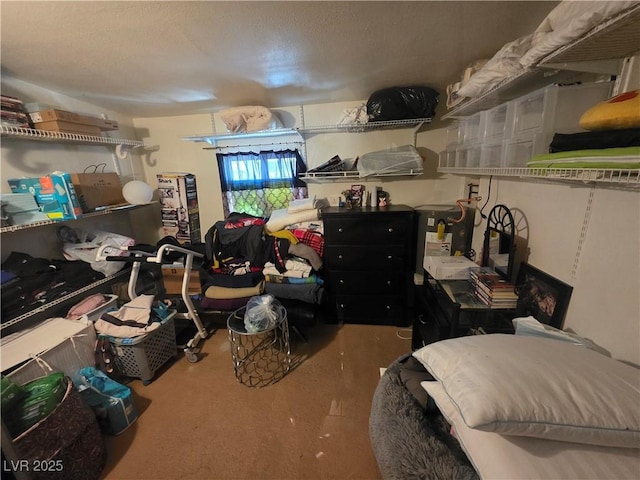 7108 Moon Ct, Las Vegas, NV 89145 - view of storage area