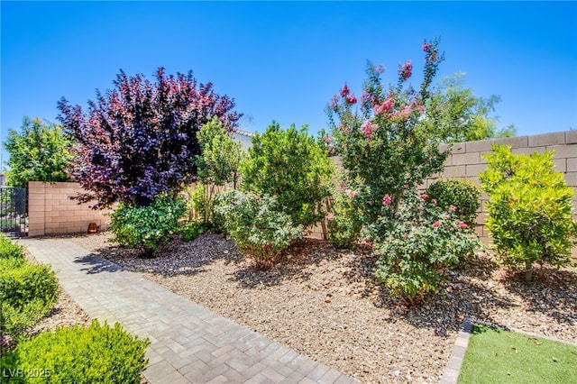 8298 W Agate Ave, Las Vegas, NV 89113 - view of fenced backyard