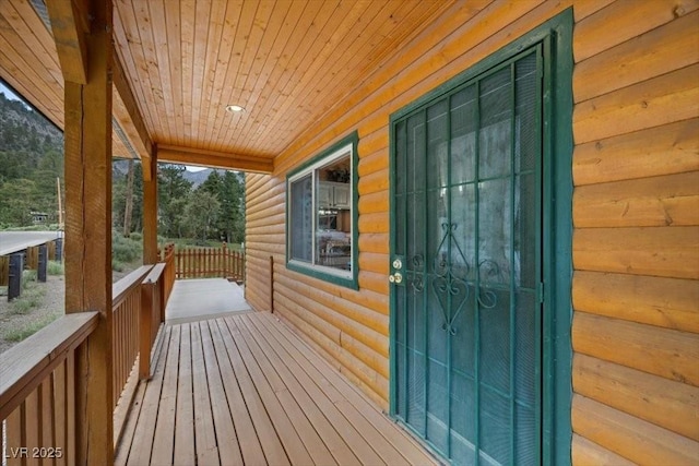 4830 Silver Tip Way, Mount Charleston, NV 89124 - view of porch