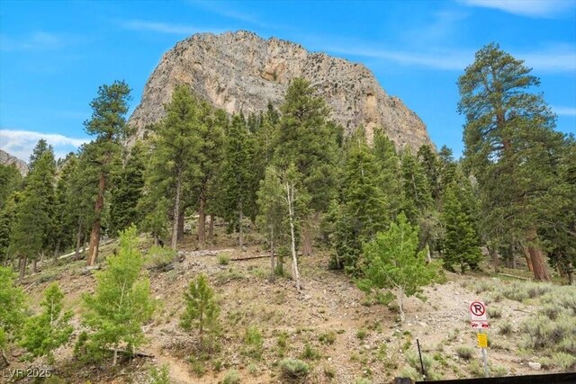 4830 Silver Tip Way, Mount Charleston, NV 89124 - mountain view featuring a heavily wooded area