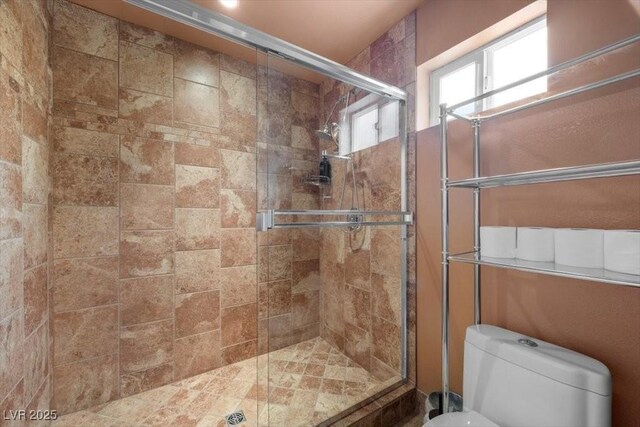 4830 Silver Tip Way, Mount Charleston, NV 89124 - bathroom featuring toilet and a stall shower