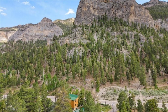 4830 Silver Tip Way, Mount Charleston, NV 89124 - mountain view with a heavily wooded area