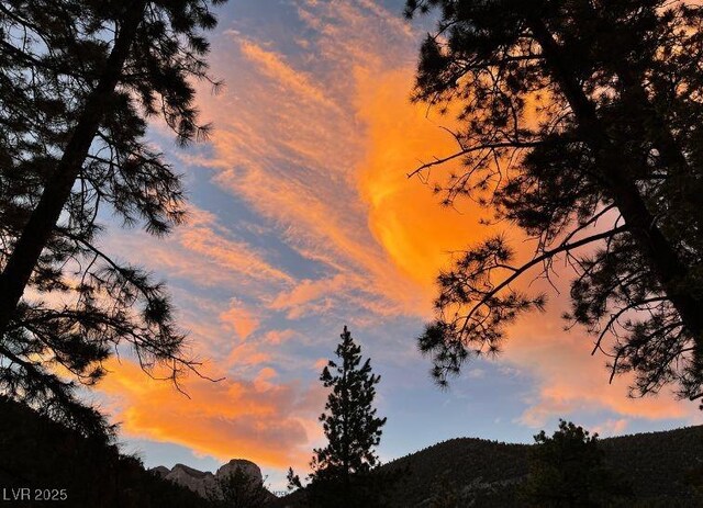4830 Silver Tip Way, Mount Charleston, NV 89124 - view of undeveloped land featuring mountains