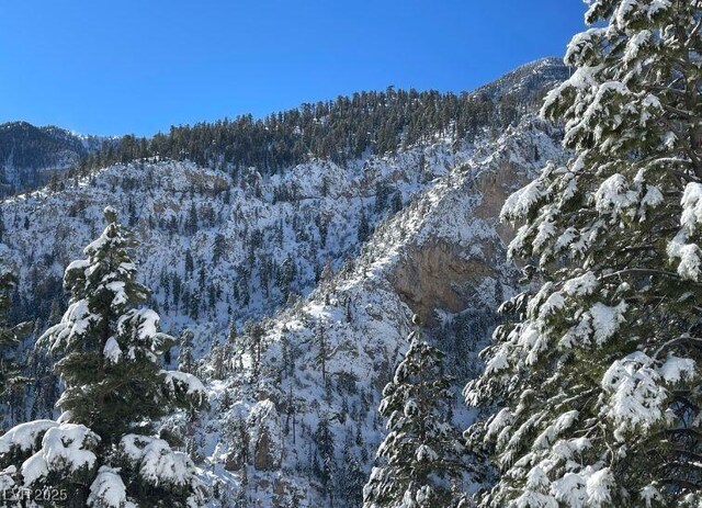 4830 Silver Tip Way, Mount Charleston, NV 89124 - mountain view featuring a forest