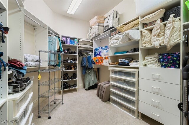 277 Dark Forest Ave, Las Vegas, NV 89123 - walk in closet with carpet flooring