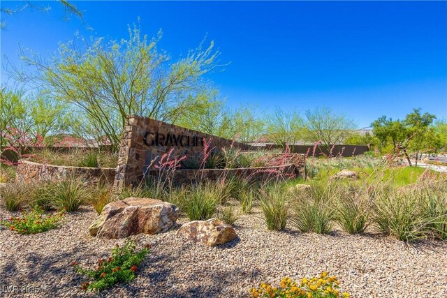 12367 Aster Hills Ave, Las Vegas, NV 89138 - photo 55