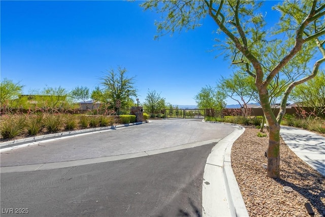 12367 Aster Hills Ave, Las Vegas, NV 89138 - photo 56