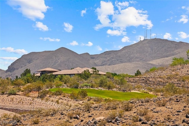1134 Pandora Canyon St, Henderson, NV 89052 - photo 37