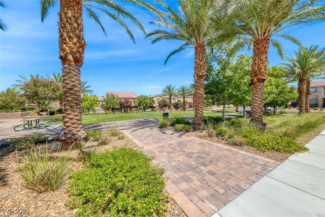 1134 Pandora Canyon St, Henderson, NV 89052 - photo 55