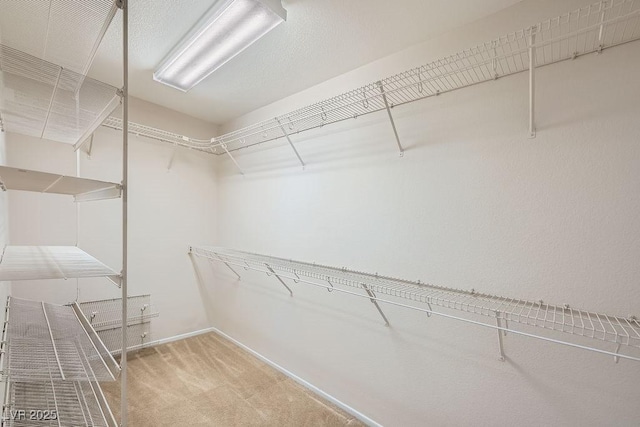 765 Jewel Tower St, Las Vegas, NV 89178 - walk in closet with carpet flooring