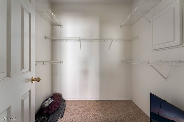 1838 N Jones Blvd, Las Vegas, NV 89108 - spacious closet featuring carpet floors