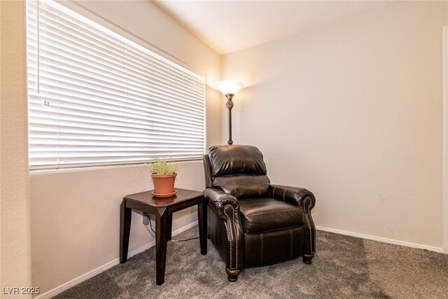 815 Adagio St, Henderson, NV 89052 - photo 26