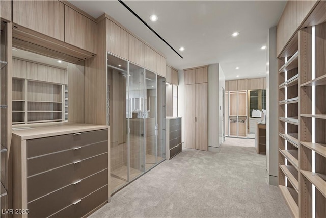 1 Hughes Center Dr Unit 1901, Las Vegas, NV 89169 - spacious closet with light carpet