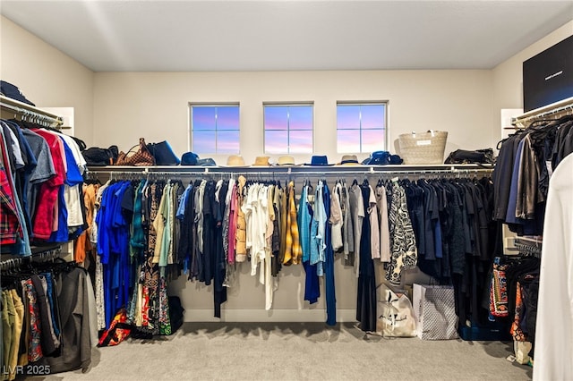 230 Cactus Sunrise St, Las Vegas, NV 89138 - walk in closet featuring carpet floors