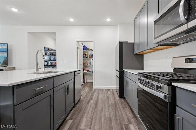 3024 River Brook Ct, Las Vegas, NV 89139 - kitchen featuring stainless steel appliances, gray cabinets, a sink, light countertops, and wood finished floors