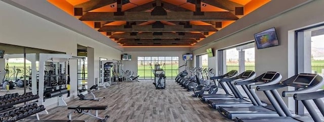 9950 Coyote Echo Ct, Las Vegas, NV 89166 - exercise room with a towering ceiling
