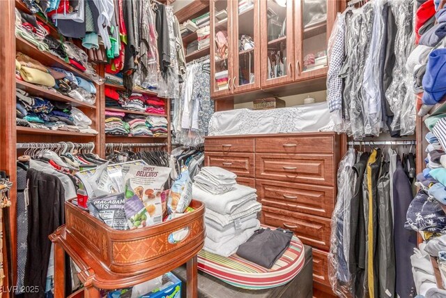 9101 Alta Dr Unit 203, Las Vegas, NV 89145 - view of walk in closet