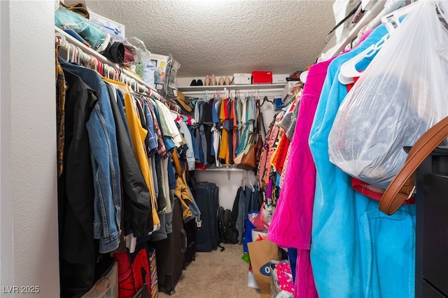 3200 Mariner Bay St, Las Vegas, NV 89117 - photo 20
