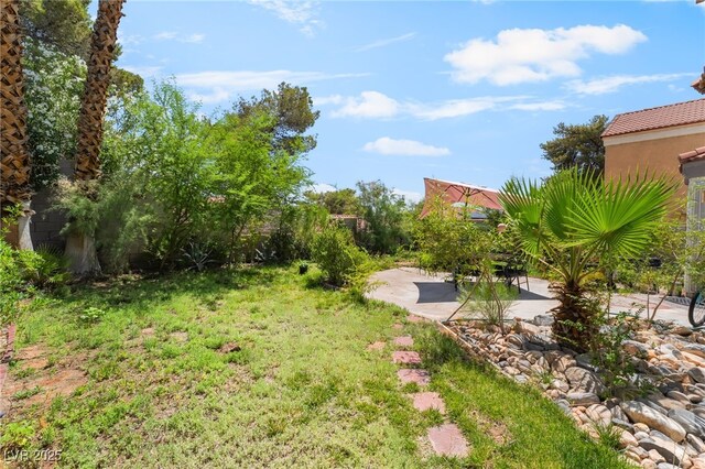 3200 Mariner Bay St, Las Vegas, NV 89117 - photo 24