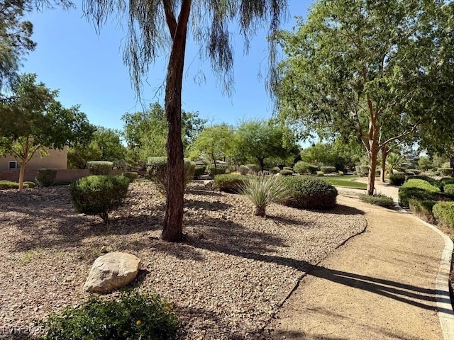 5216 Loma Verde Ave, Las Vegas, NV 89108 - view of yard