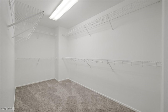 6133 Roseboro Ct, North Las Vegas, NV 89081 - walk in closet featuring carpet flooring