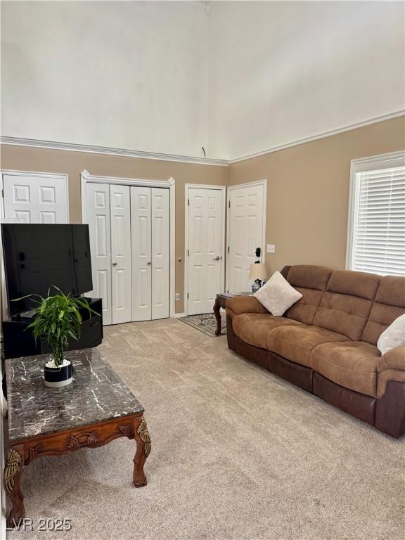2345 Iron Dr, Ely, NV 89301 - living room featuring carpet flooring and a high ceiling
