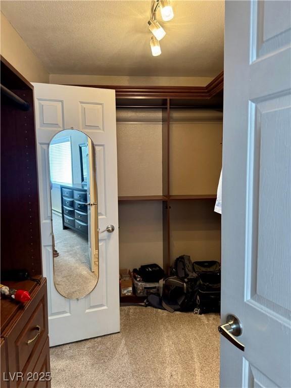 2345 Iron Dr, Ely, NV 89301 - walk in closet featuring carpet flooring