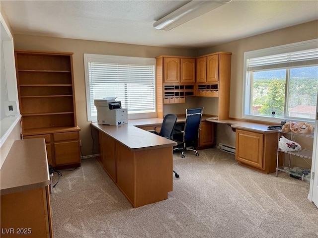 2345 Iron Dr, Ely, NV 89301 - home office featuring light colored carpet and baseboard heating
