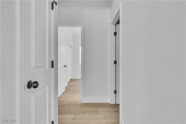 10200 Wood Work Ln, Las Vegas, NV 89135 - hallway featuring light wood-type flooring and baseboards