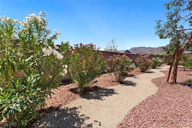 4317 Velvet Ridge Ct, Las Vegas, NV 89129 - view of fenced backyard