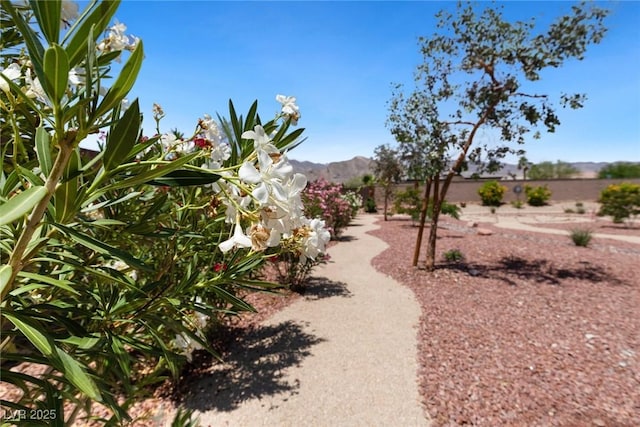 4317 Velvet Ridge Ct, Las Vegas, NV 89129 - view of property's community with a mountain view