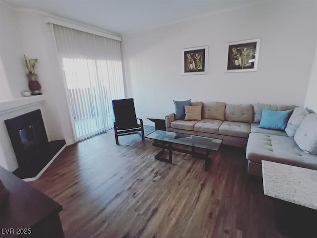 9000 Las Vegas Blvd Unit 1037, Las Vegas, NV 89123 - living area with wood finished floors and a fireplace with raised hearth