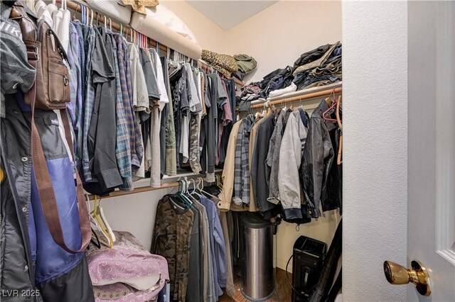 3873 Palm Island Ct, Las Vegas, NV 89147 - view of walk in closet