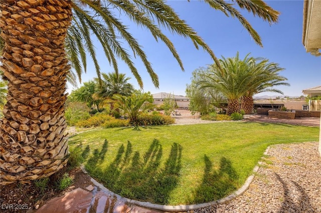 8290 Gagnier Blvd, Las Vegas, NV 89113 - view of green lawn