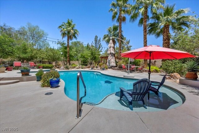 10674 Chillingham Dr, Las Vegas, NV 89183 - outdoor pool featuring a patio