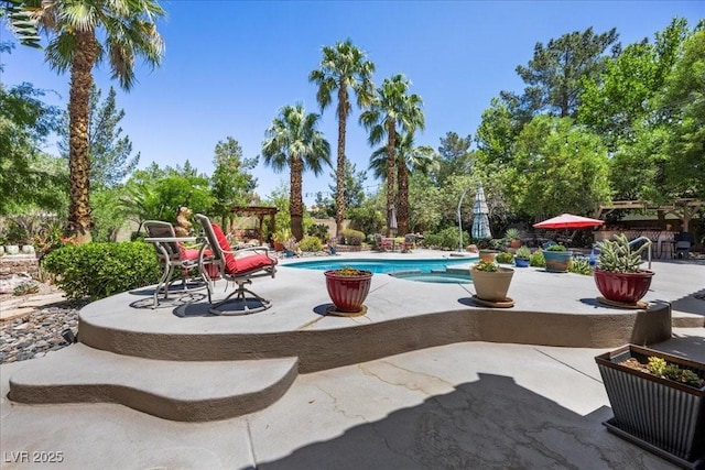 10674 Chillingham Dr, Las Vegas, NV 89183 - swimming pool with a patio area