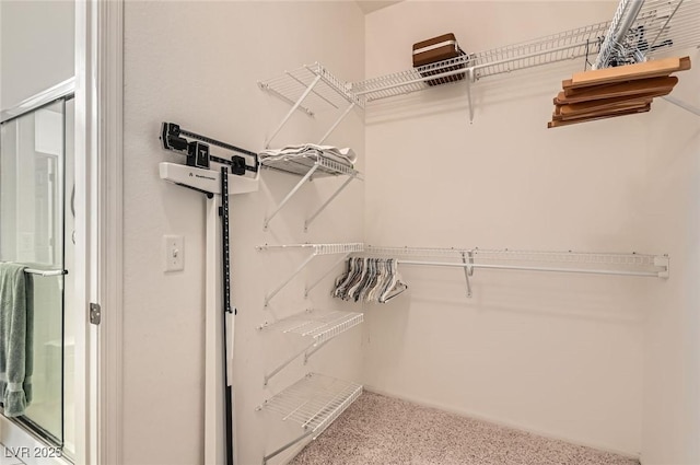 1816 Eagle Mesa Ave, Henderson, NV 89012 - walk in closet with carpet